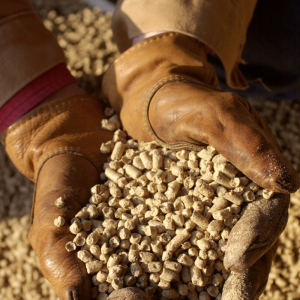 Wood Pellets 10kg bags